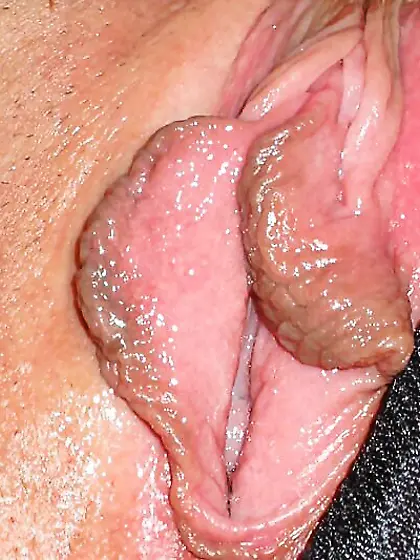 big pussy lips