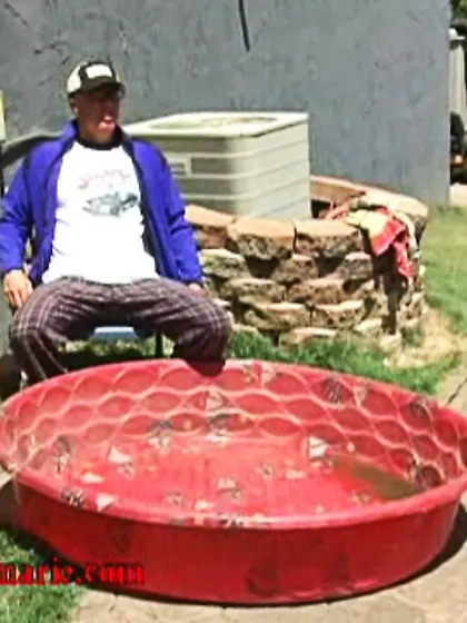 Hung guy drills green bikini MILF's moist...