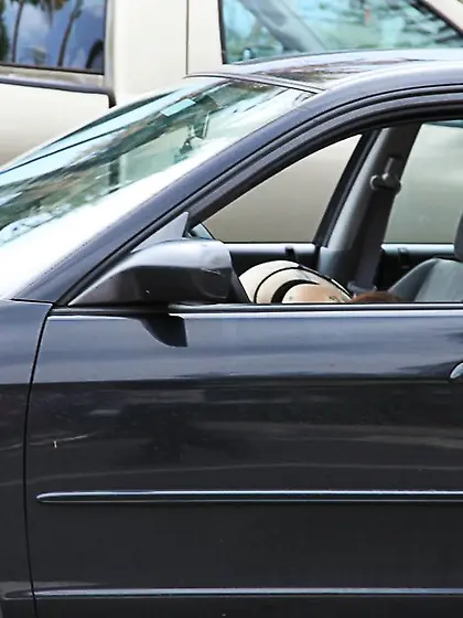 Fantastic young babe in a sexy black outfit blows her partner an