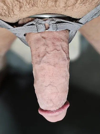 Hard Cock in Grey Panties