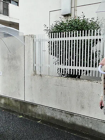 Japanese girls Jun Sena and Asakura Kotomi get banged hard