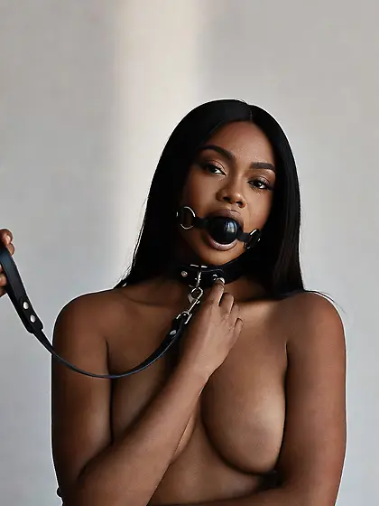 silenced and leashed are the best niggers