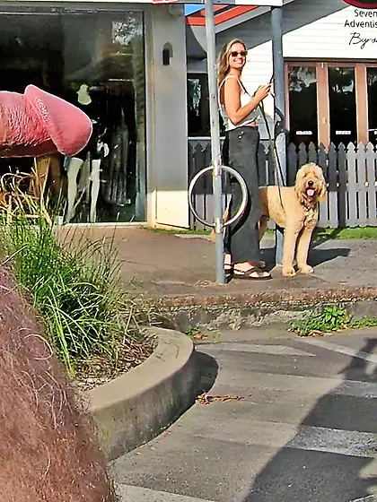 WNBR Byron Bay erection flasher CFNM smile n wave