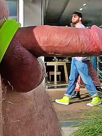 WNBR Byron Bay erection flasher CFNM smile n wave