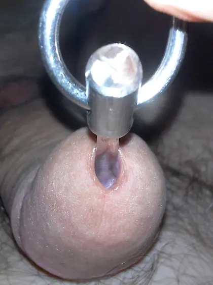 Insertion urethral plug