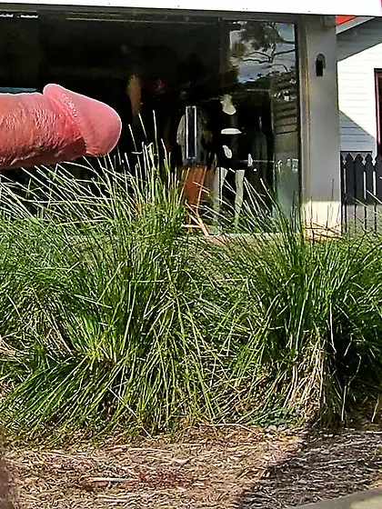 WNBR Byron Bay erection flasher CFNM smile n wave