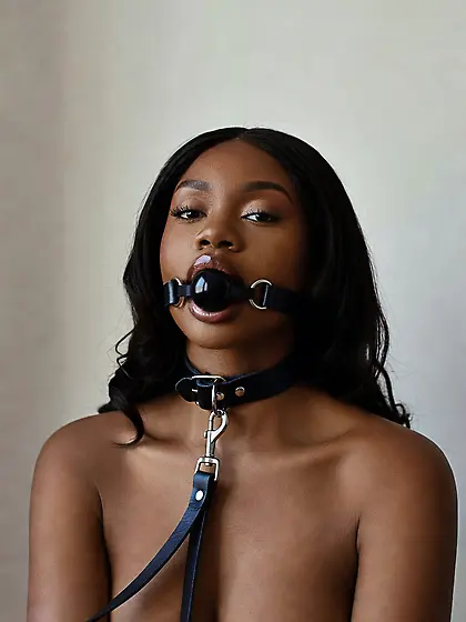 silenced and leashed are the best niggers