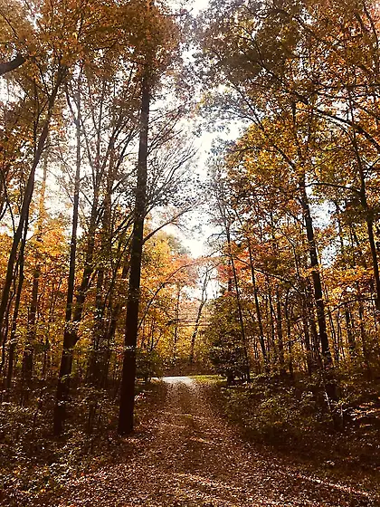 Impactful images for me - 44