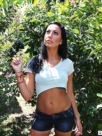 Amber Rayne Tiffany Brookes and Richelle Ryan fuck in a wild gro