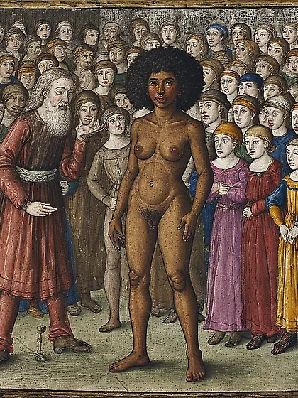 Comparative Anthropology - Negroid Females