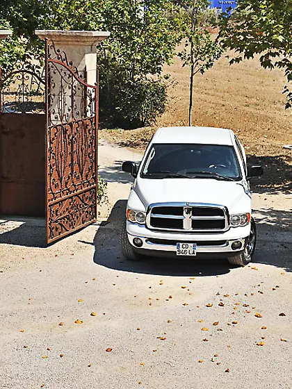 Lucy in the Water with Latex!