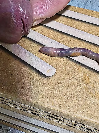 My cock was so ready for that.