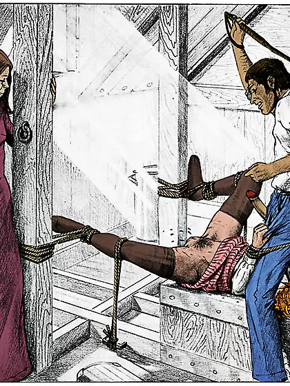 Whipped on the pussy (by Farrel).  Colorized.