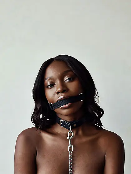 silenced and leashed are the best niggers