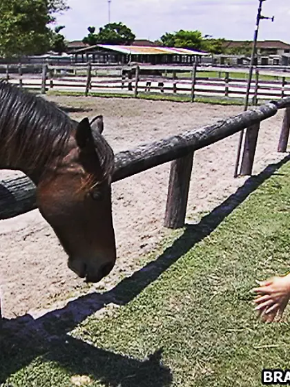 Muscular guy sharing lusty