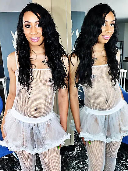 Gorgeous exotic shemale models