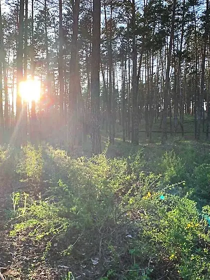 Catherine Free Photos