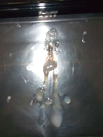 LASHMI RAI JISM TRIBUTED