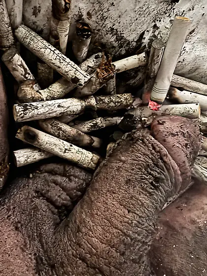 Submissive sissy male ashtray