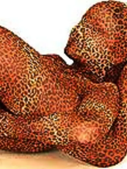 Gorgeous chicks lusciously big