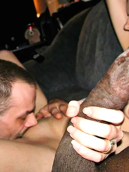 BLACK STALLIONS not only FOR YOU LADYS