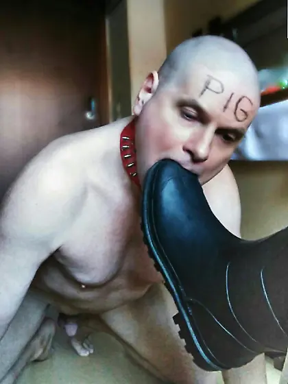 my scat toilet boot licking tpe slave pig