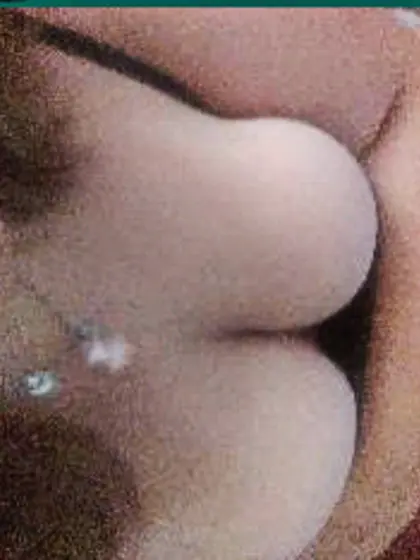 Cute Butterfly DragonModel