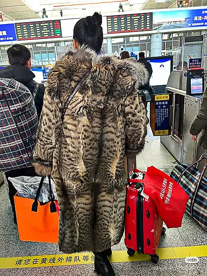 Wild cat fur coat