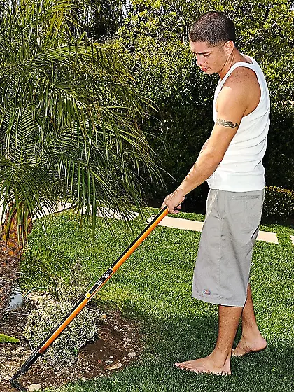 Most women,  specially housewives,