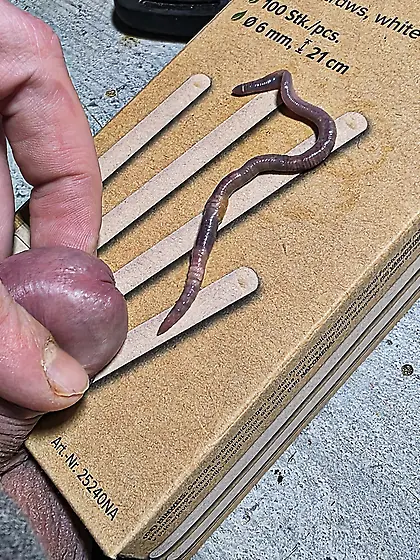 My cock was so ready for that.