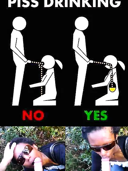 Chimp deposit forest training camp