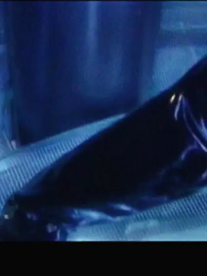 Big tits american blonde roughly fucked