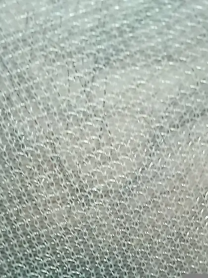 Pussy in sheer panties