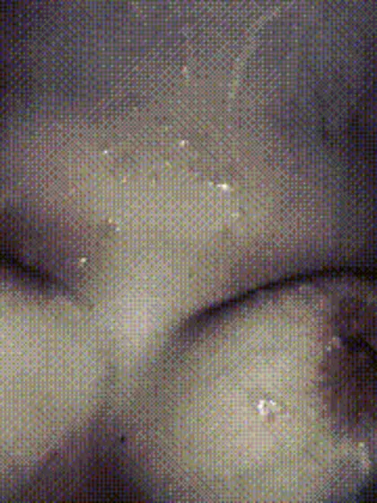 Bbw hotwife shyskiesxx