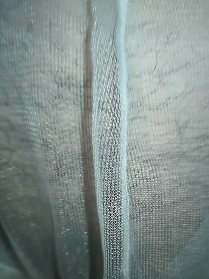 Pussy in sheer panties