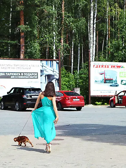 Beautiful brunette bimbo Aruna Aghora is on the bright green law