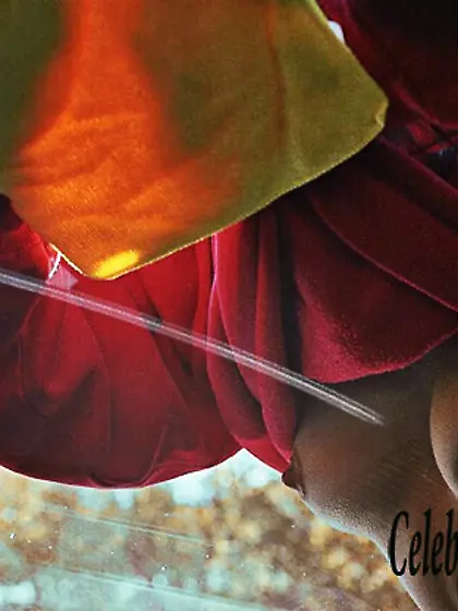 Boobs pic of Willa Holland