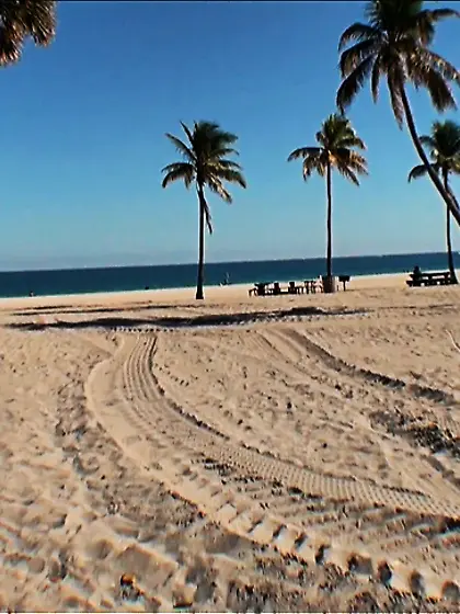 Alluring teen gal Sasha Sweet gets down on her knees outdoors an