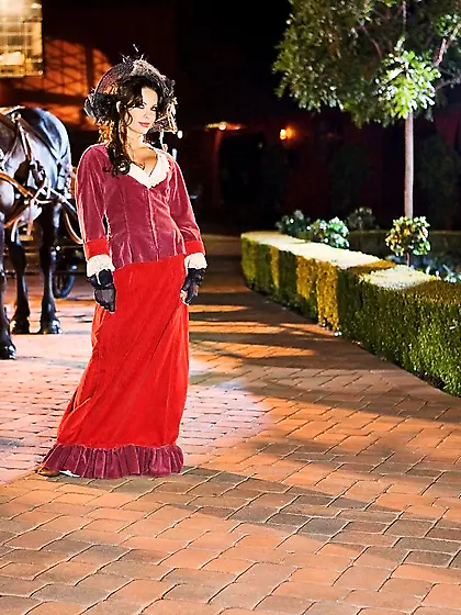 Brunette with big breastesses Vanessa Lane in sexy stockings fin