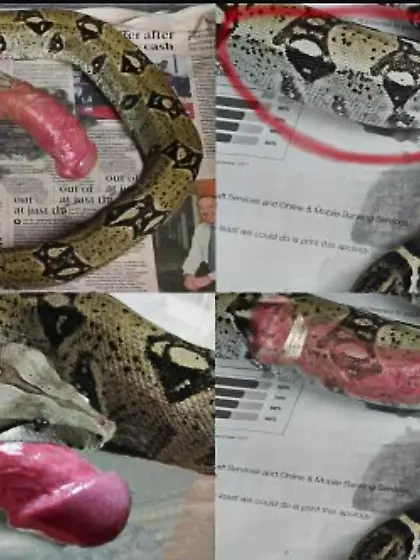 Penectomy Fantasie für meinen Schwanz