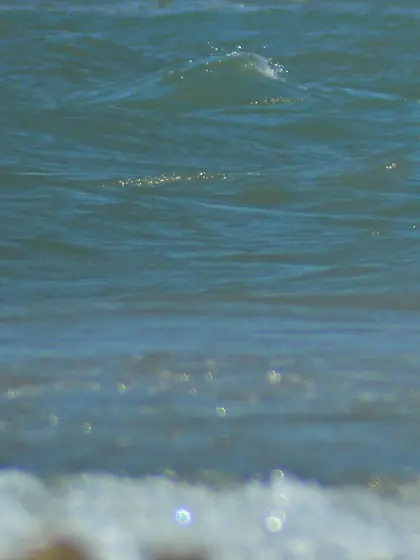 South of France on topless beach...