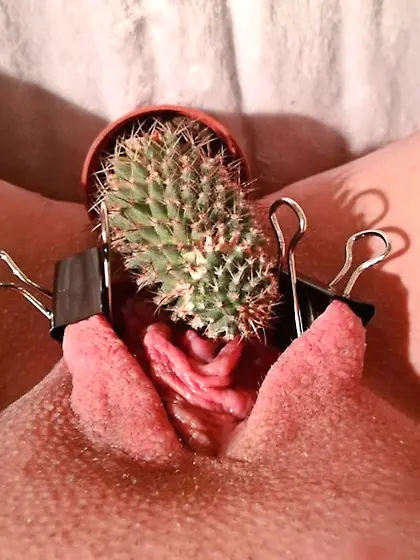 CUNTMEAT PLEASURE Part 2