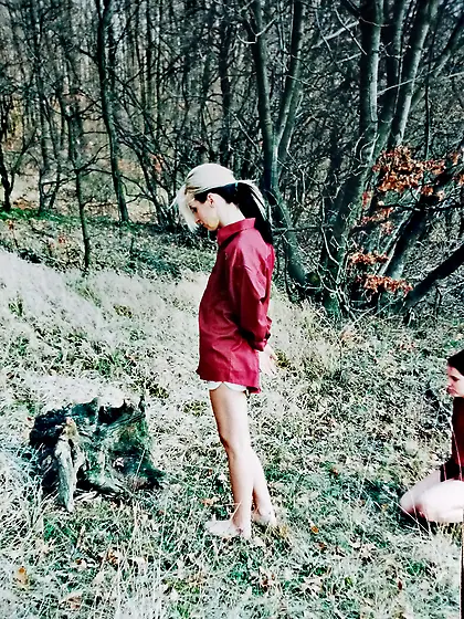 Execution in the forest