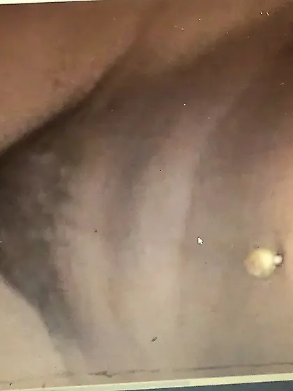 Sexy Canadian gets some cock and cum tribute