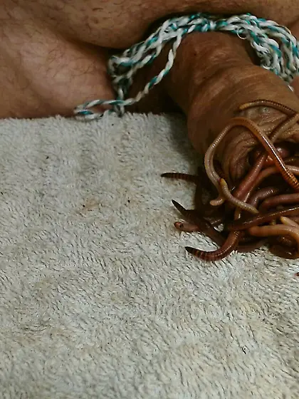 Tanz der Würmer 5. 8. 2025