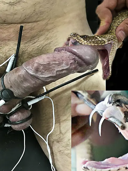 Penectomy Fantasie für meinen Schwanz