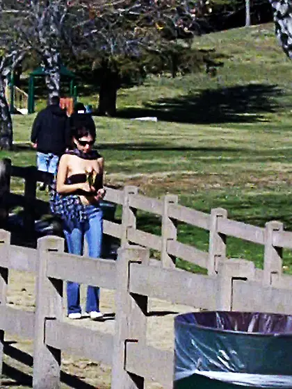 Girls sharked,  stripped and pantsed in public!