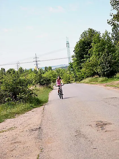 Vanessa O schoolgirls