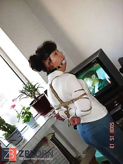 The Communist Soiree of China Gimp