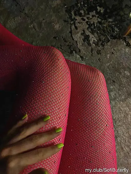 SofiButerfly Free Photos